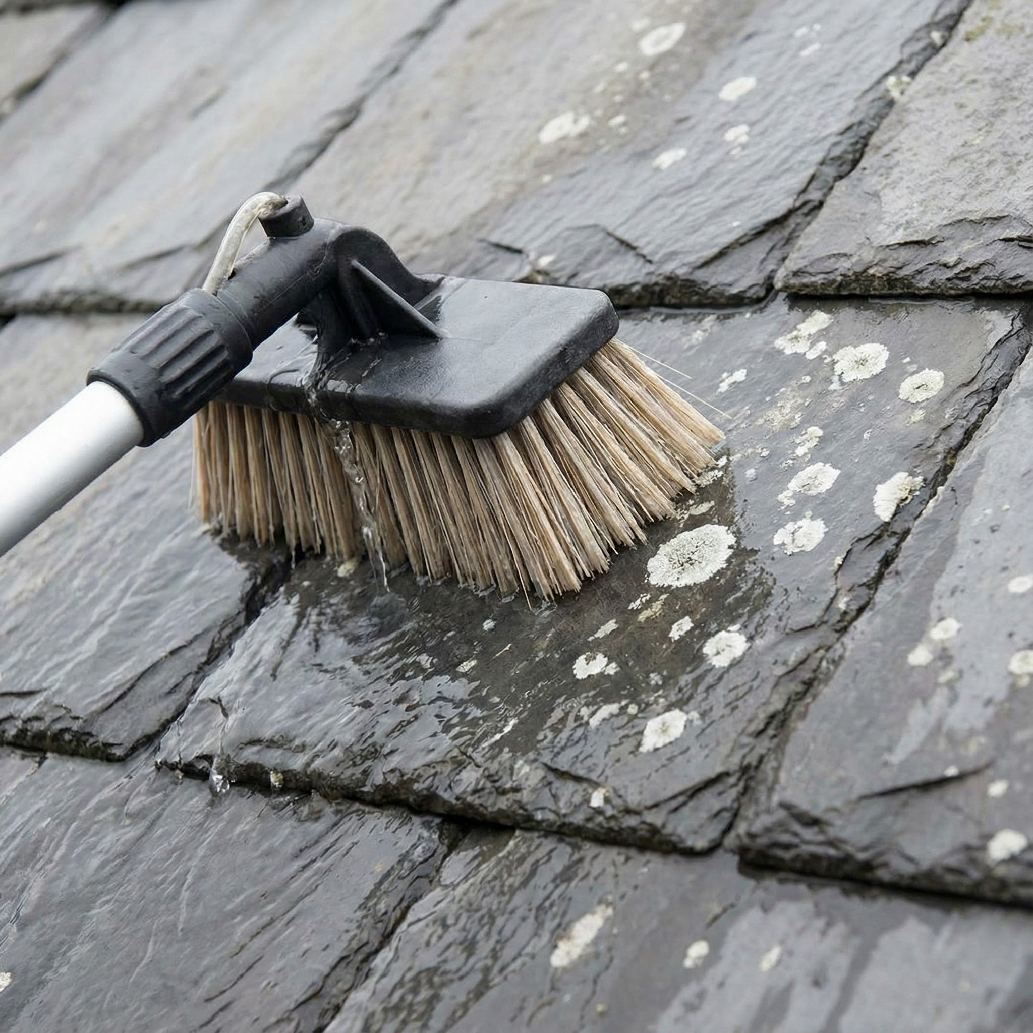 How to Prep Concrete Roof Tiles: Scrape, Wash & Biocide - Everest Paints
