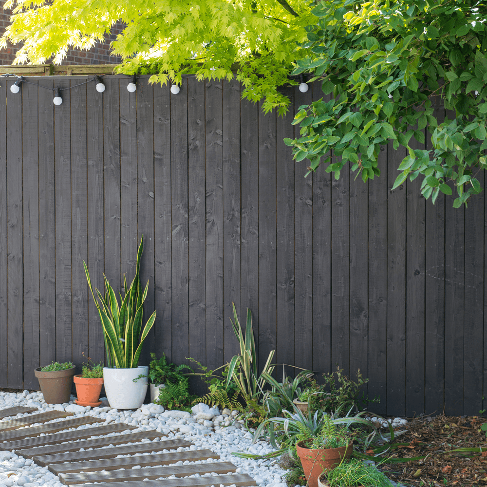 Everest - FENCOAT - Ultimate Fence Paint - Everest Paints
